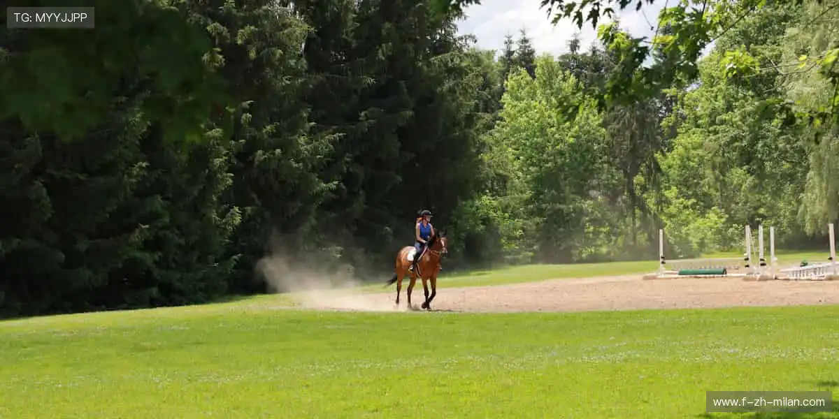 🔥 汗水与欢呼共鸣，