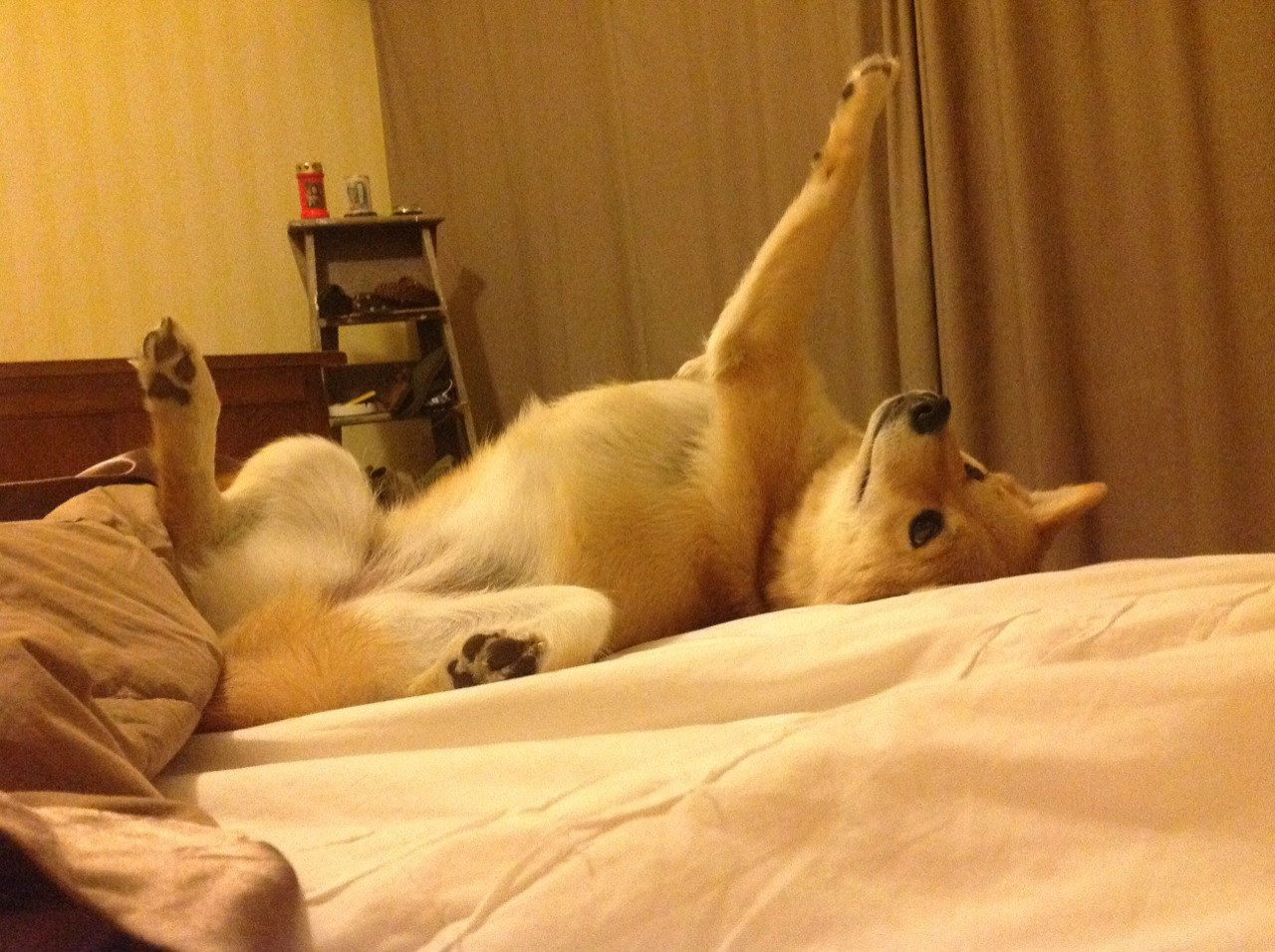 AC米兰-体育新闻中心推进体育影像档案管理系统建设，体育档案目录