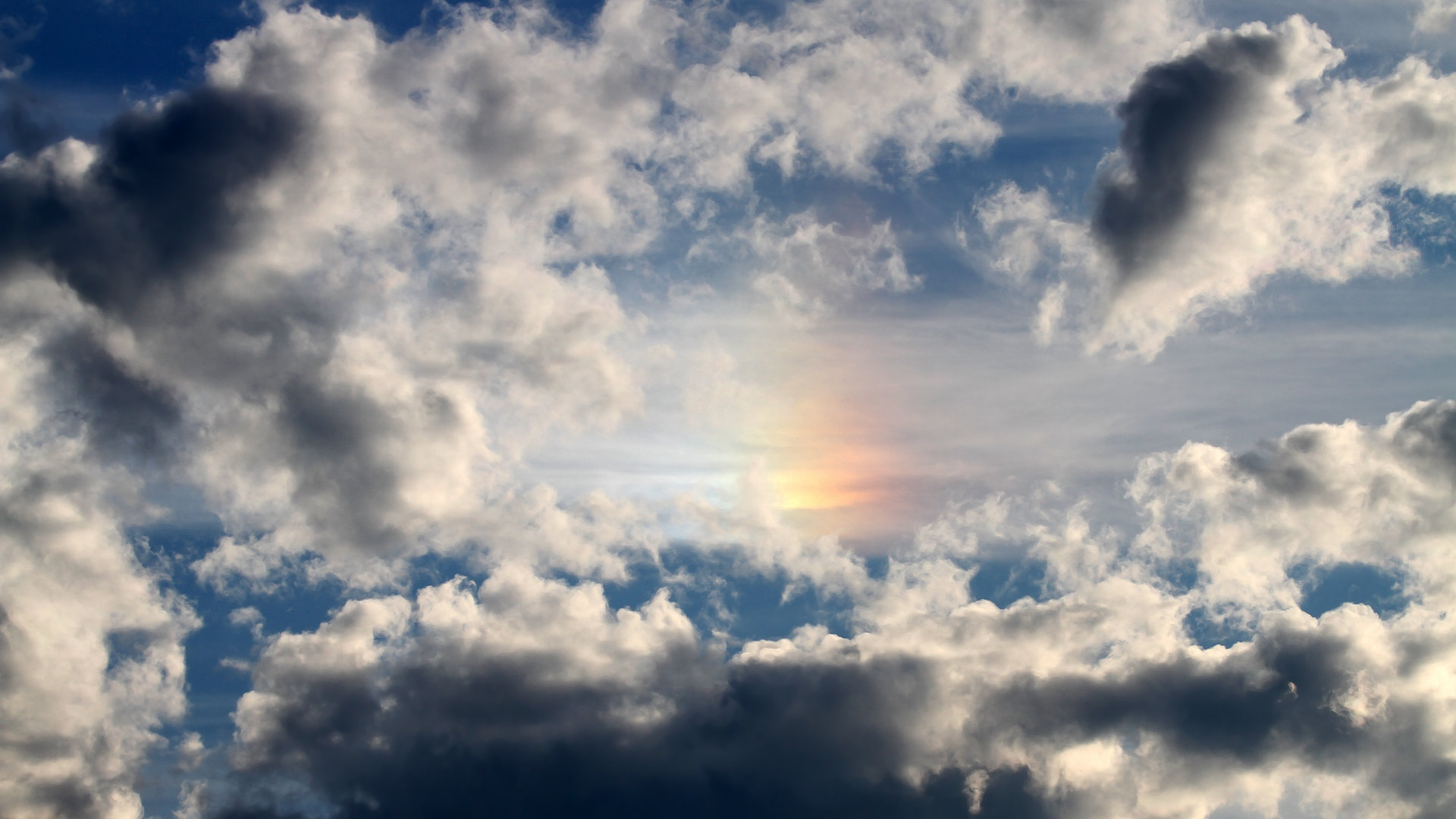 AC米兰-四国蝶泳滑行占比差异数据出炉，国外蝶泳  第3张