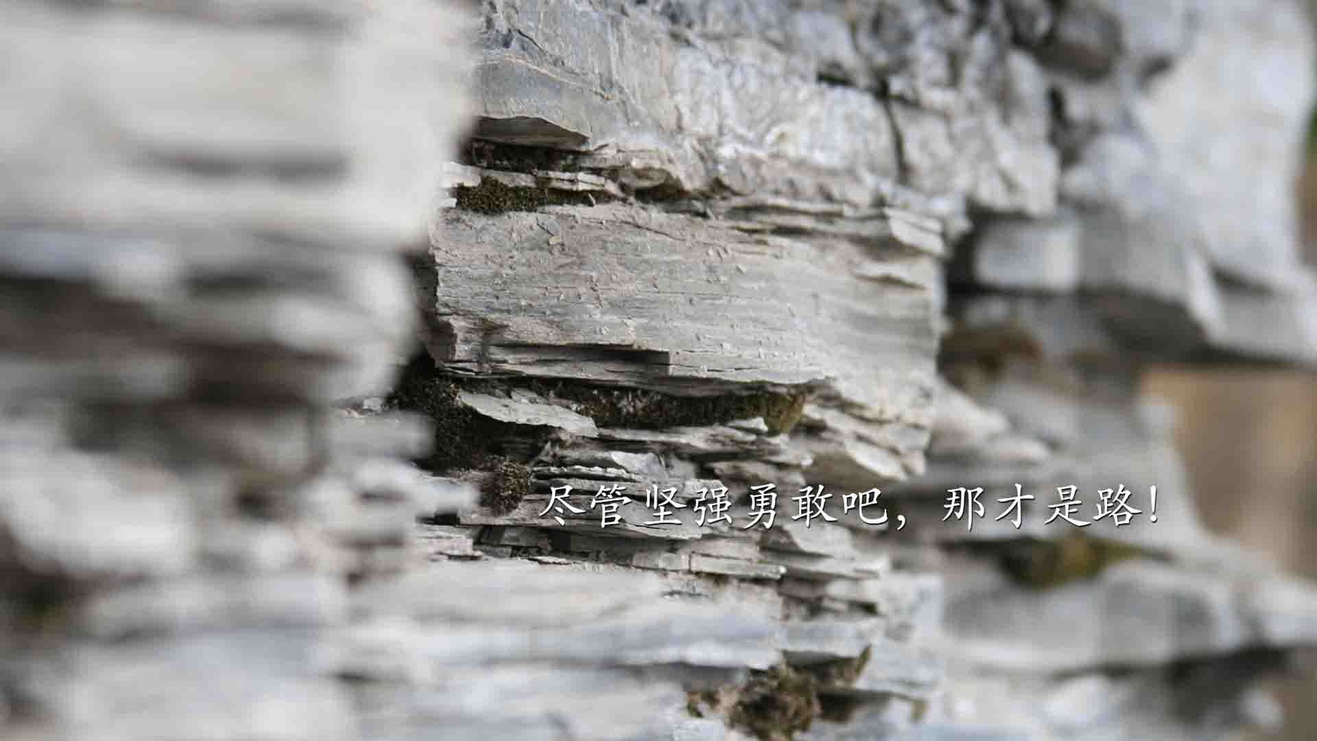 Milan Sports-球队积分缩水是否总与防线频繁换人有关，球赛积分公式