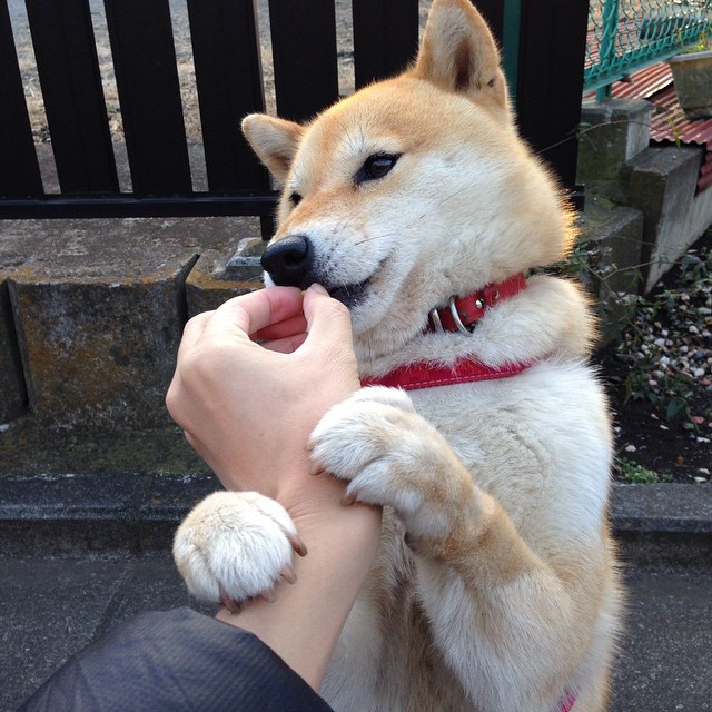 米兰体育-CBA球队青训梯队参与全国邀请赛展现储备力量厚度，cba青训球员界定