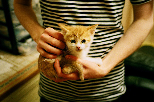 米兰体育官网-“萨尔·巴赫：南非新一代橄榄球天才”