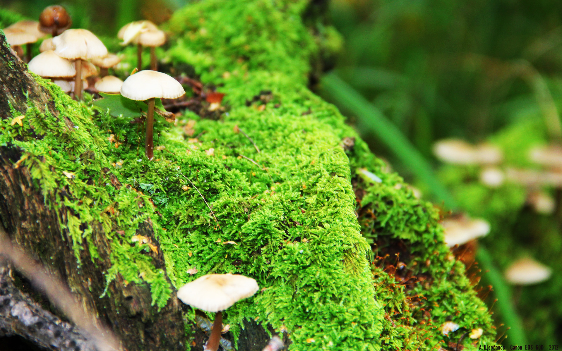 Milan Sports-中国足球国家队提升战术执行节奏变化能力，中国足球国家队提升战术执行节奏变化能力的措施