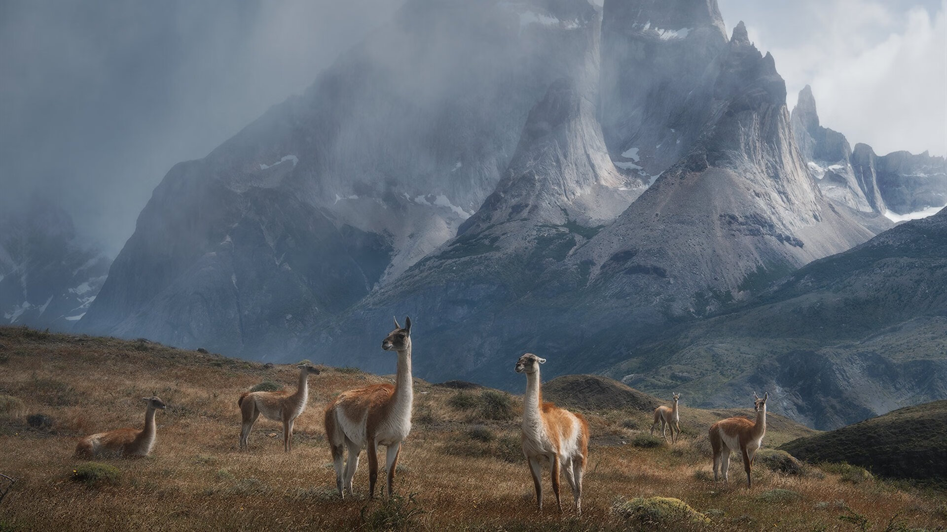Milan Sports-中国足球国家队提升战术执行节奏变化能力，中国足球国家队提升战术执行节奏变化能力的措施