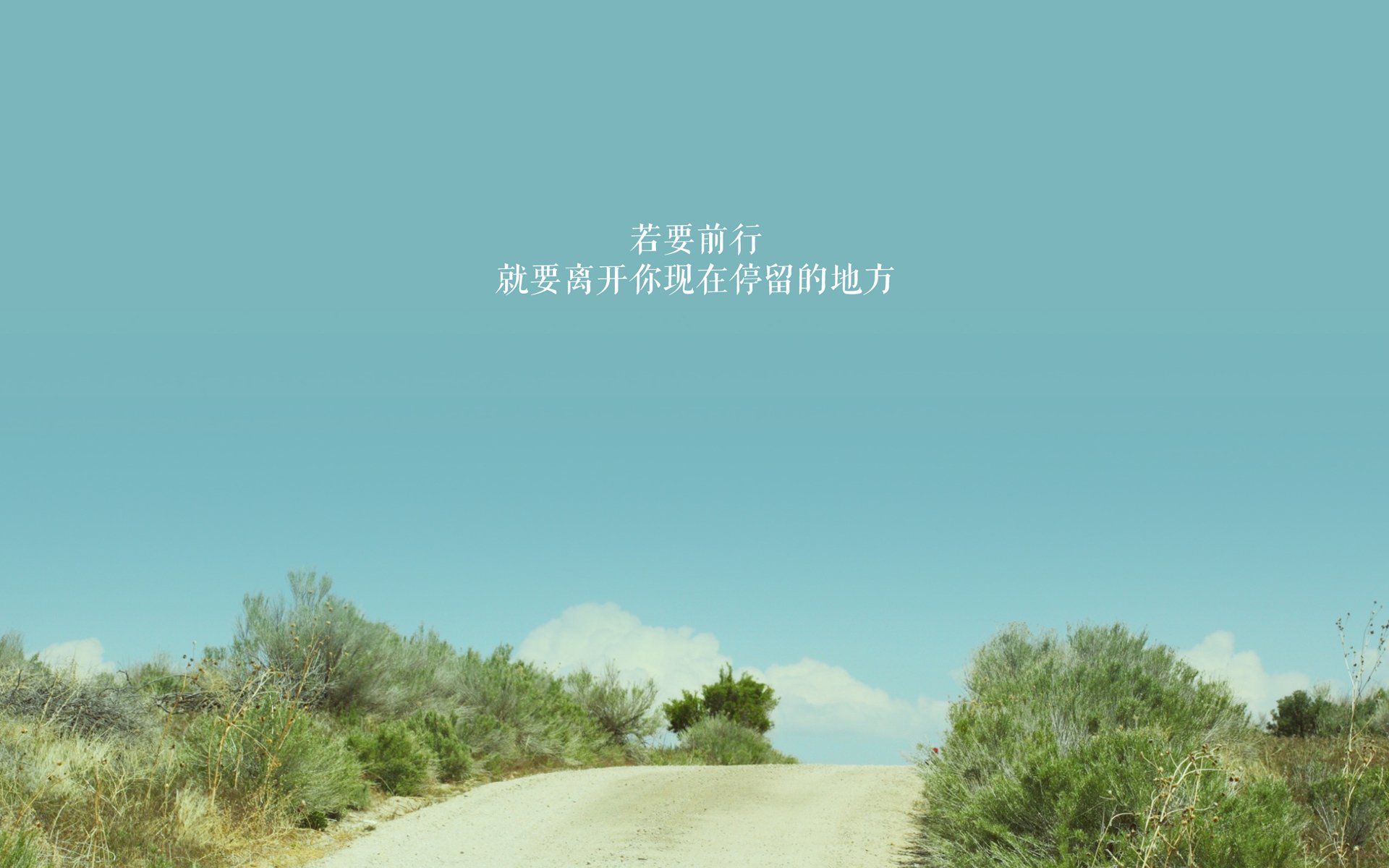 米兰体育-巴西国家队连续夺得世界杯五次，成为历史最强球队，历届巴西国家队世界杯名次  第1张