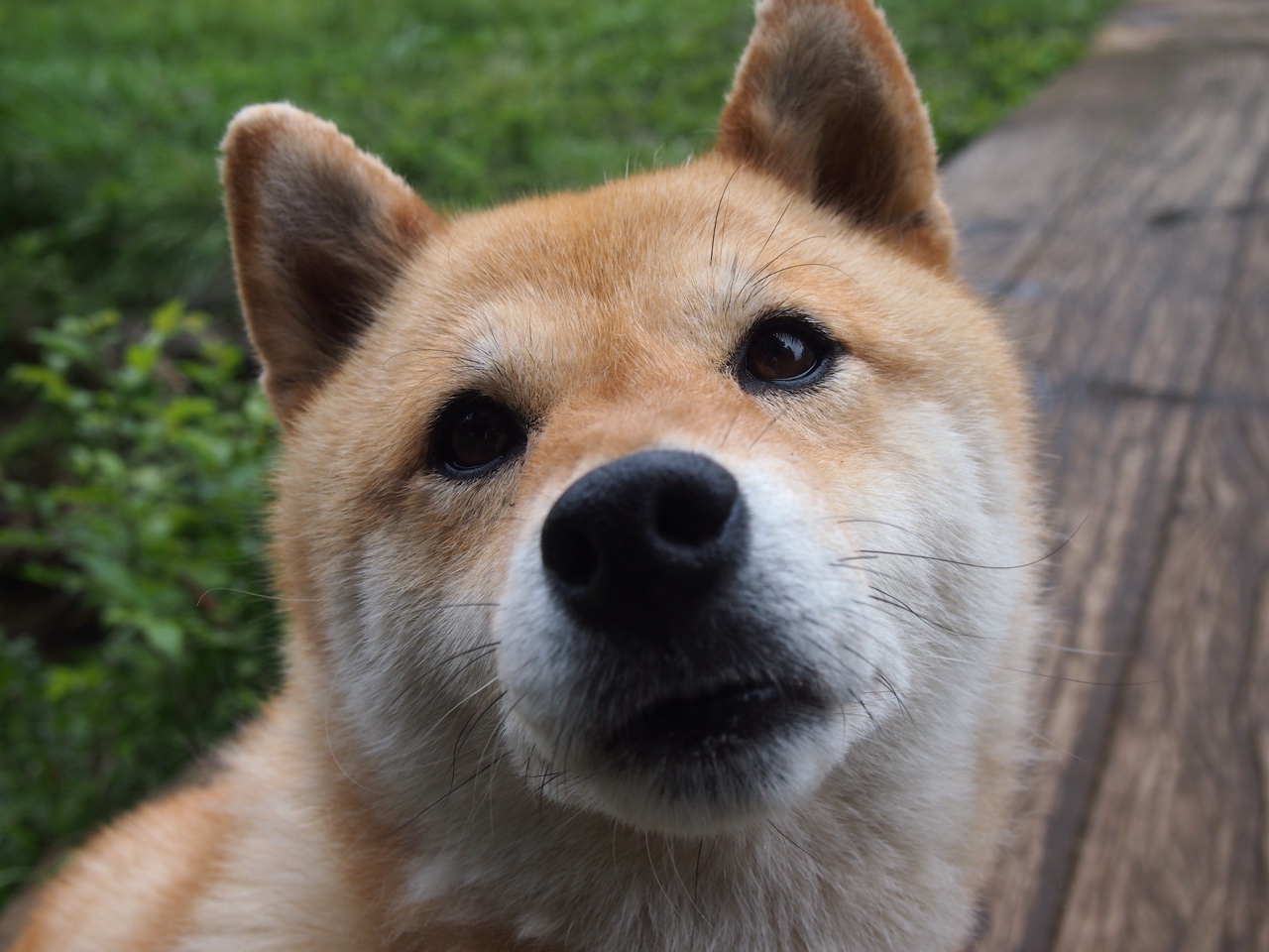 米兰登录入口-校园足球竞赛体系融入学籍管理提升数据整合能力，2020年校园足球管理信息系统应用培训