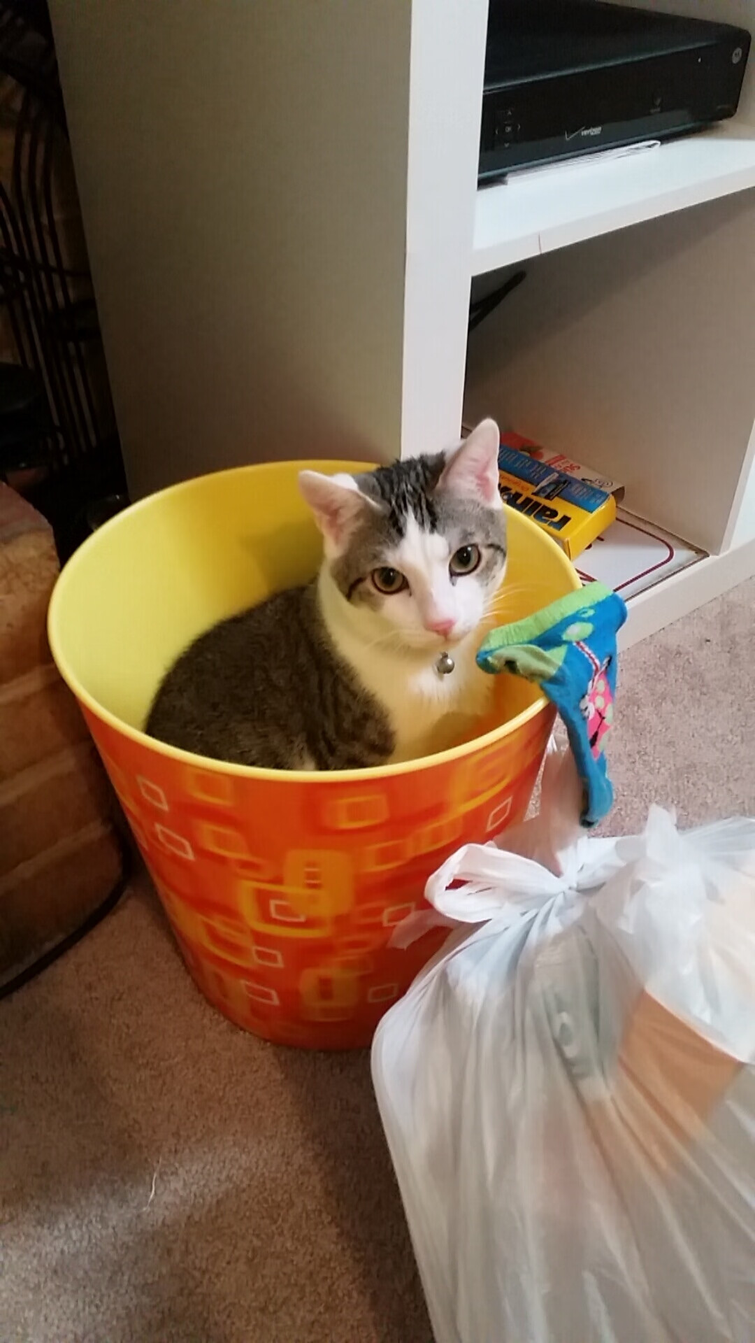 Milan Sports-比赛现场气氛火爆回顾,比赛现场气氛活跃