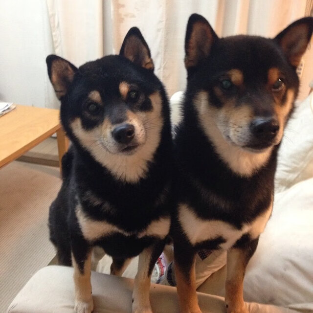 MILANSPORT入口-法甲历史瞬间:那些永远难忘的精彩战役,法甲历届冠军一览图