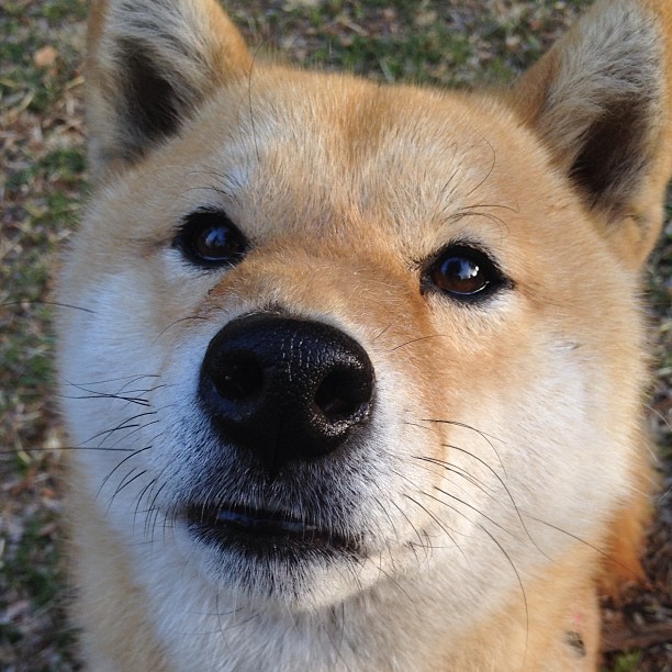 MILANSPORT下载-热火官宣赛季主题夜名单彰显球迷文化，热火晋级总决赛