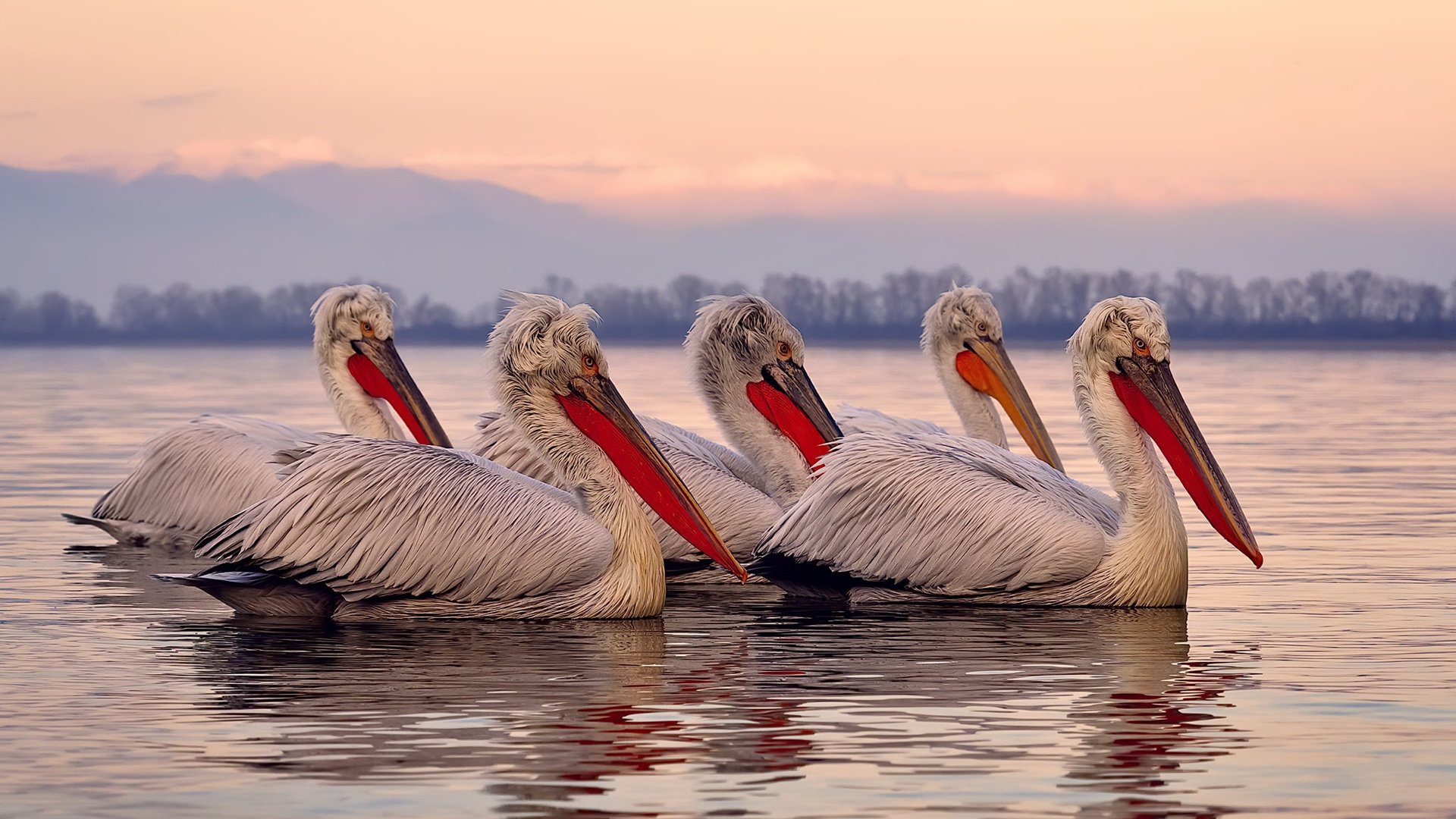 MILANSPORT下载-特色足球运动在少数民族地区深入推广，促进民族团结发展，足球特色学校主题绘画