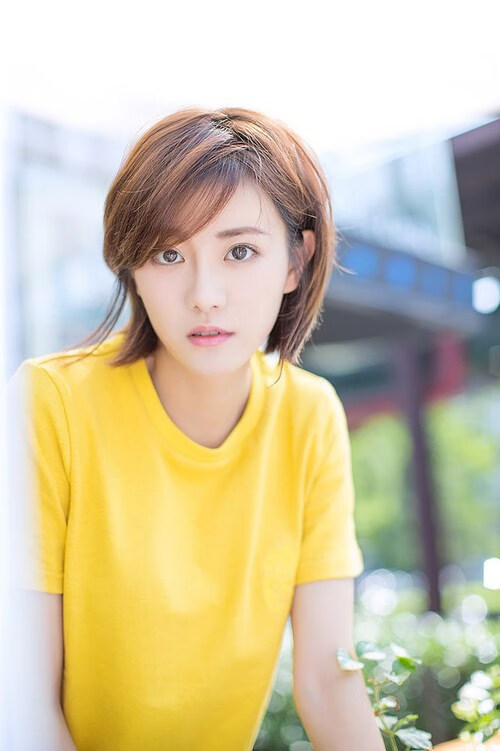 -英格兰橄榄球队吸引国际资金注入，英格兰橄榄球队队徽