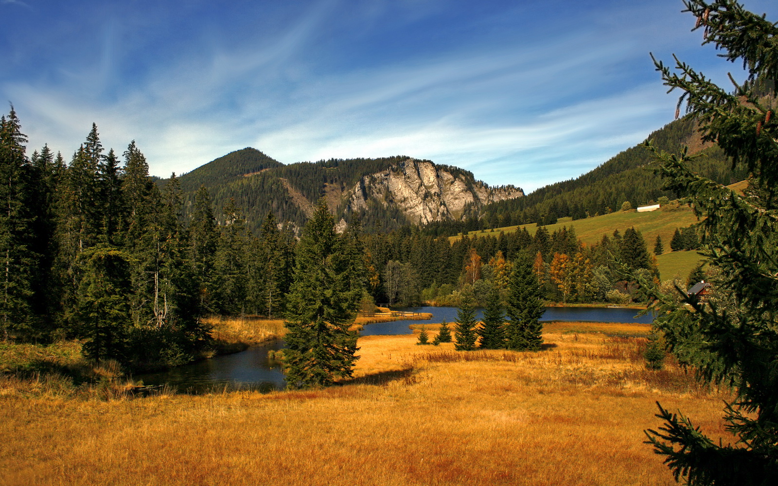 Milan Sports-蝶泳项目波兰新秀崭露头角，speedo蝶泳视频