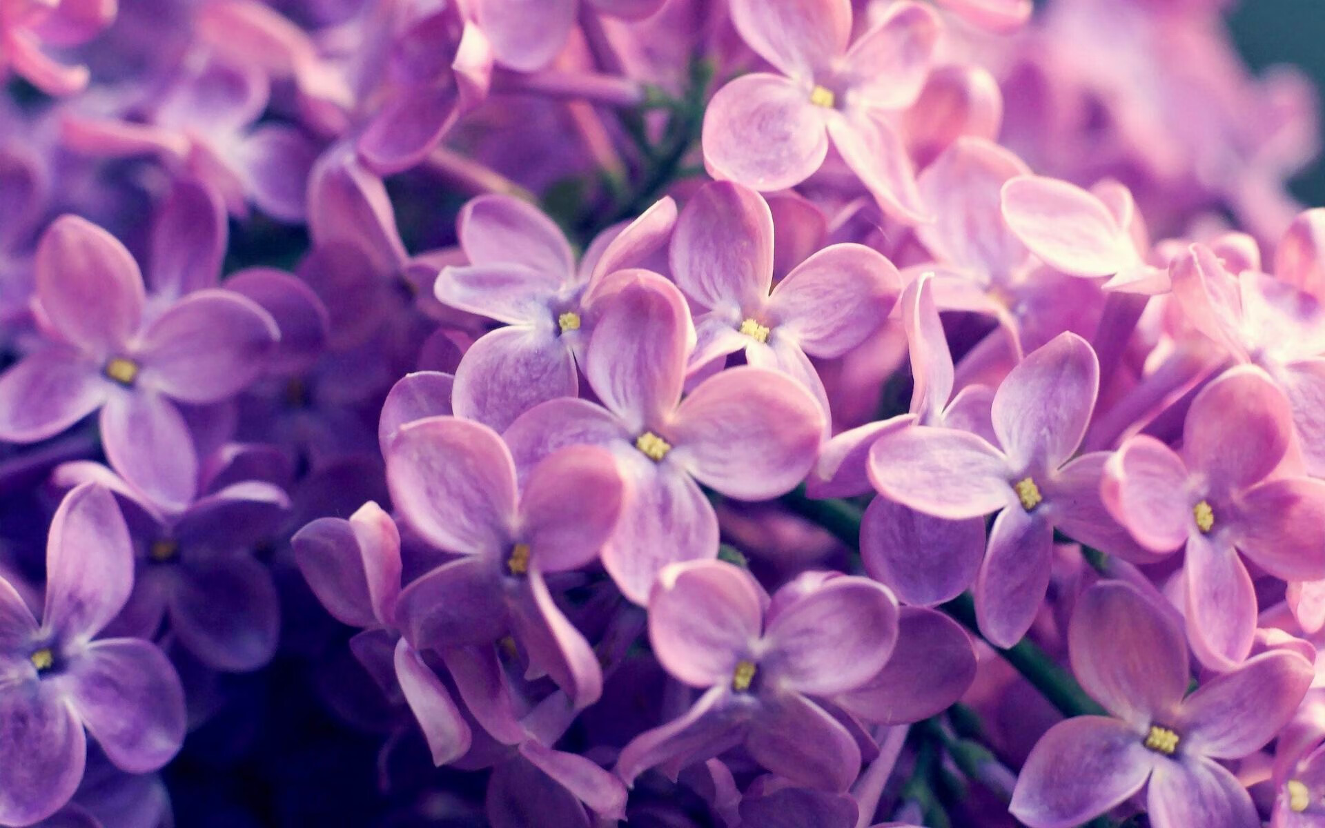 MILANSPORT入口-CBA是否鼓励球队建设现代化的训练和比赛设施，cba会不会增加球队