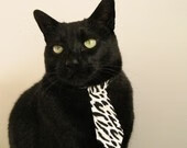 -“罗密欧·冈萨雷斯：阿根廷美洲狮队的全能新星，带来新的进攻突破”