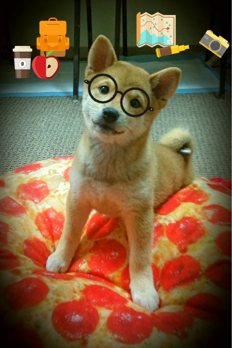 米兰体育官网-不是郭艾伦，不是张镇麟！赵继伟成辽篮新队长，辽宁男篮队员赵继伟