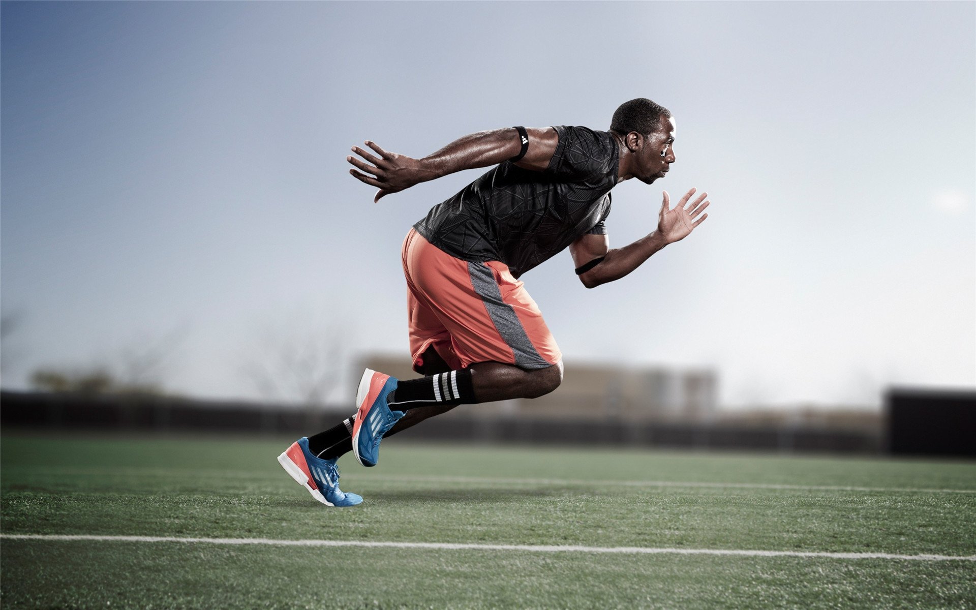 体育赛事年度观众报告